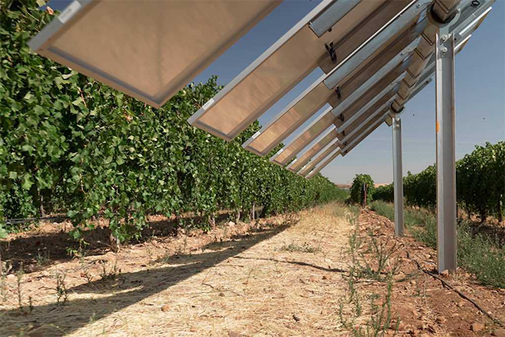 la primera planta agrovoltaica inteligente diseñada para salvar los viñedos en España